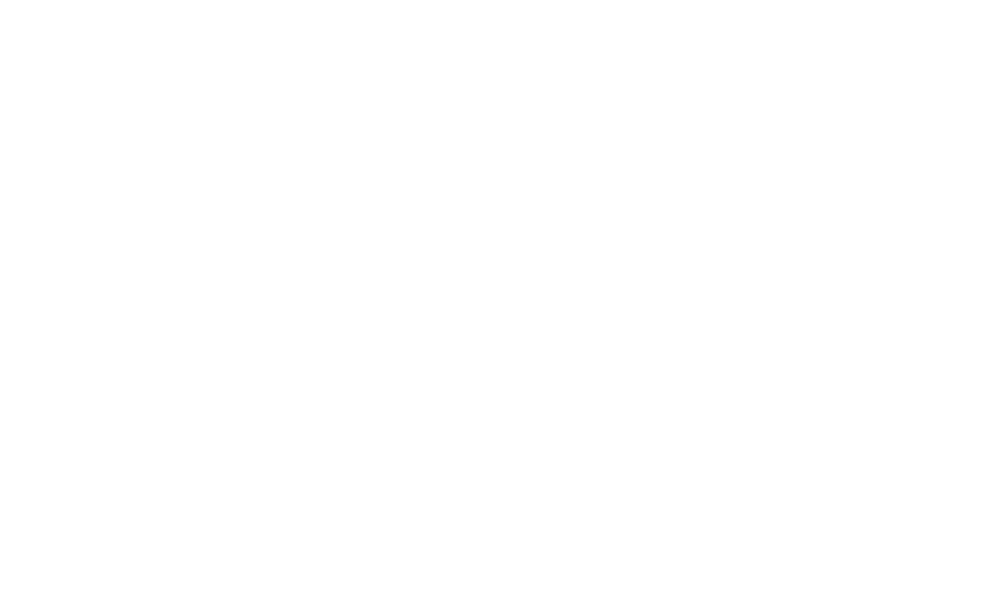 Cat Care Waas logo - Debby De Strooper